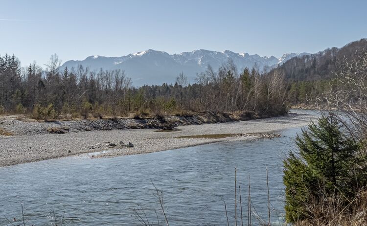 04 03 2025 Bt Isar 113526868
