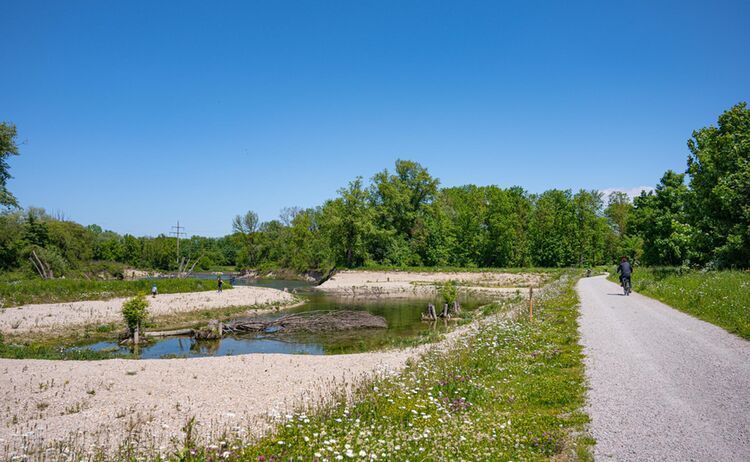 Natur an der renaturierten Isar © Ferienland Dingolfing-Landau, Daxl-Eiglsperger